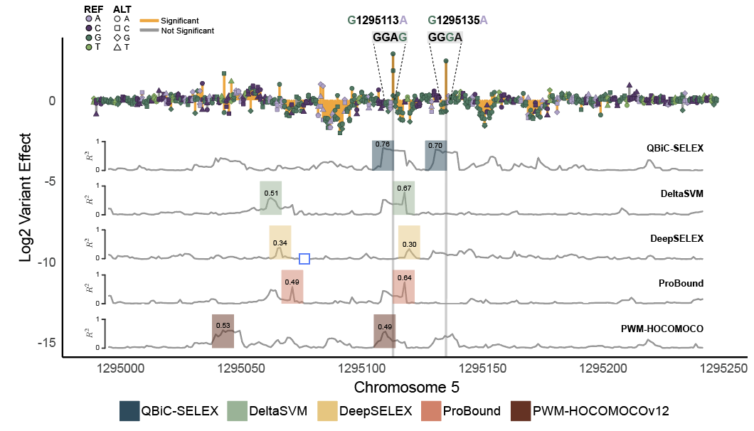Comparison of predicted transcription factor binding variant effects across quantitative models